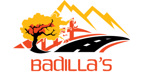 Badillas Landscaping Construction LLC
